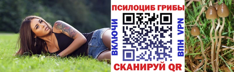 Псилоцибиновые грибы мухоморы  магазин  наркотиков  Чишмы 
